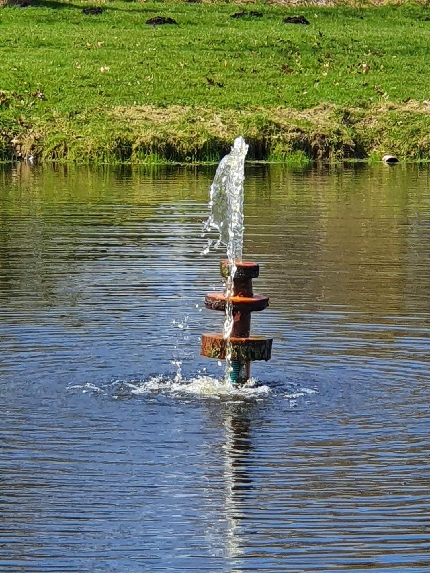 Idyllisches-Blockbohlenhaus-Mit-Eigenem-Garten-Und-Sauna-Zum-Wohlfuehlen Martensrade Eksteriør bilde