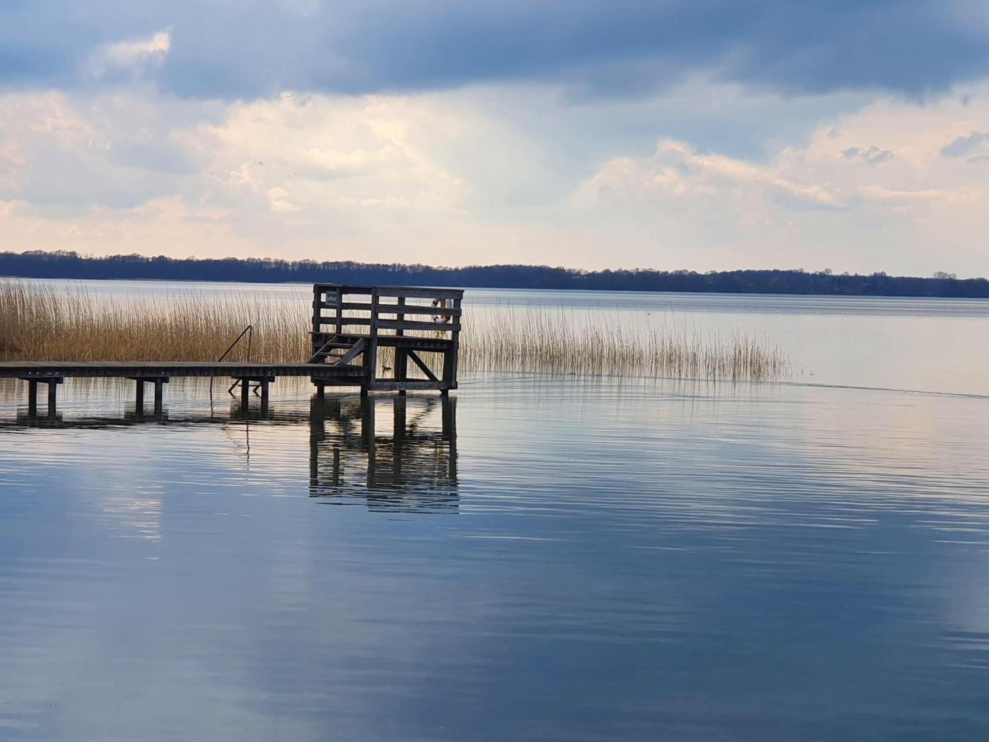 Idyllisches-Blockbohlenhaus-Mit-Eigenem-Garten-Und-Sauna-Zum-Wohlfuehlen Martensrade Eksteriør bilde