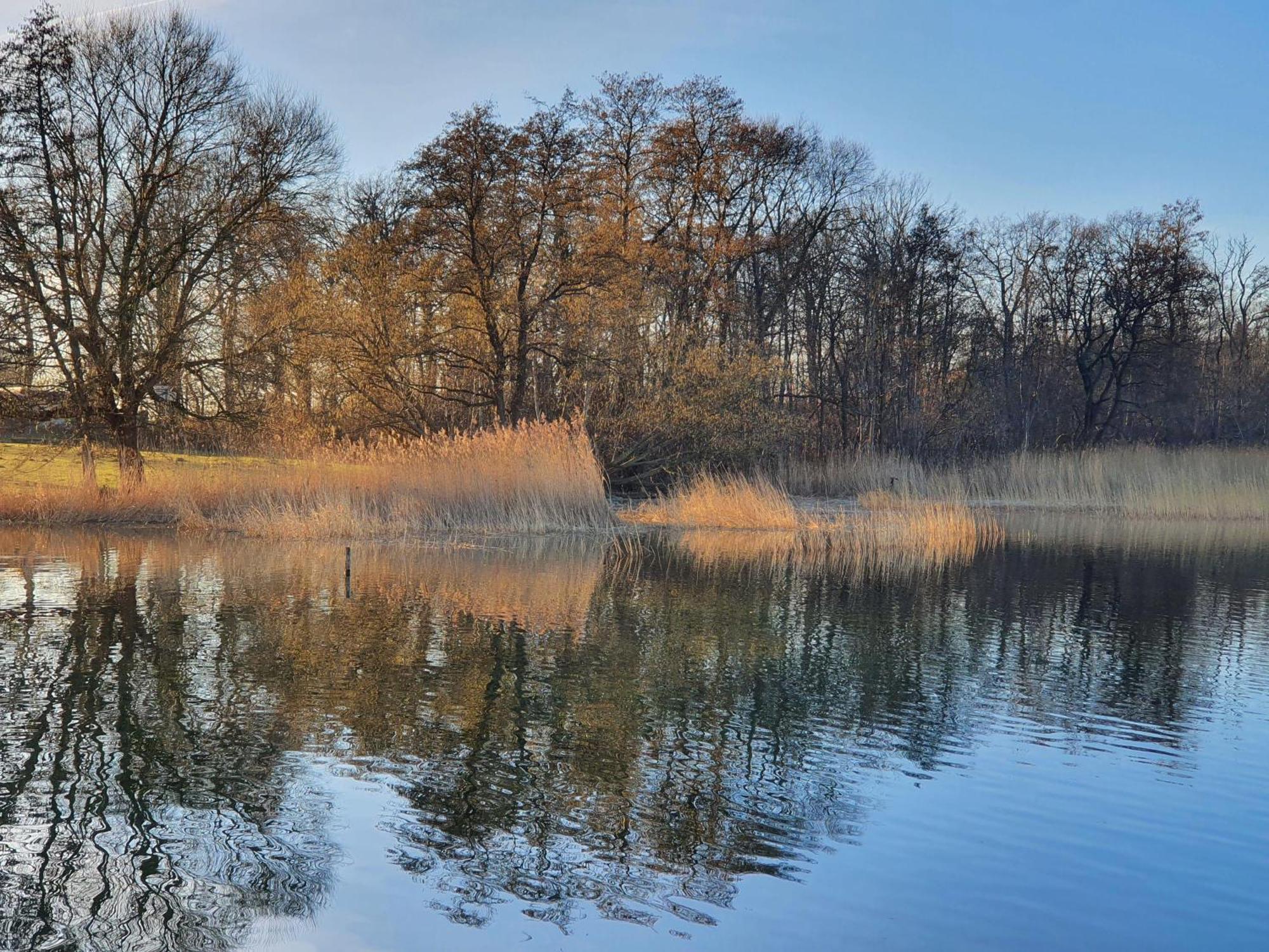 Idyllisches-Blockbohlenhaus-Mit-Eigenem-Garten-Und-Sauna-Zum-Wohlfuehlen Martensrade Eksteriør bilde